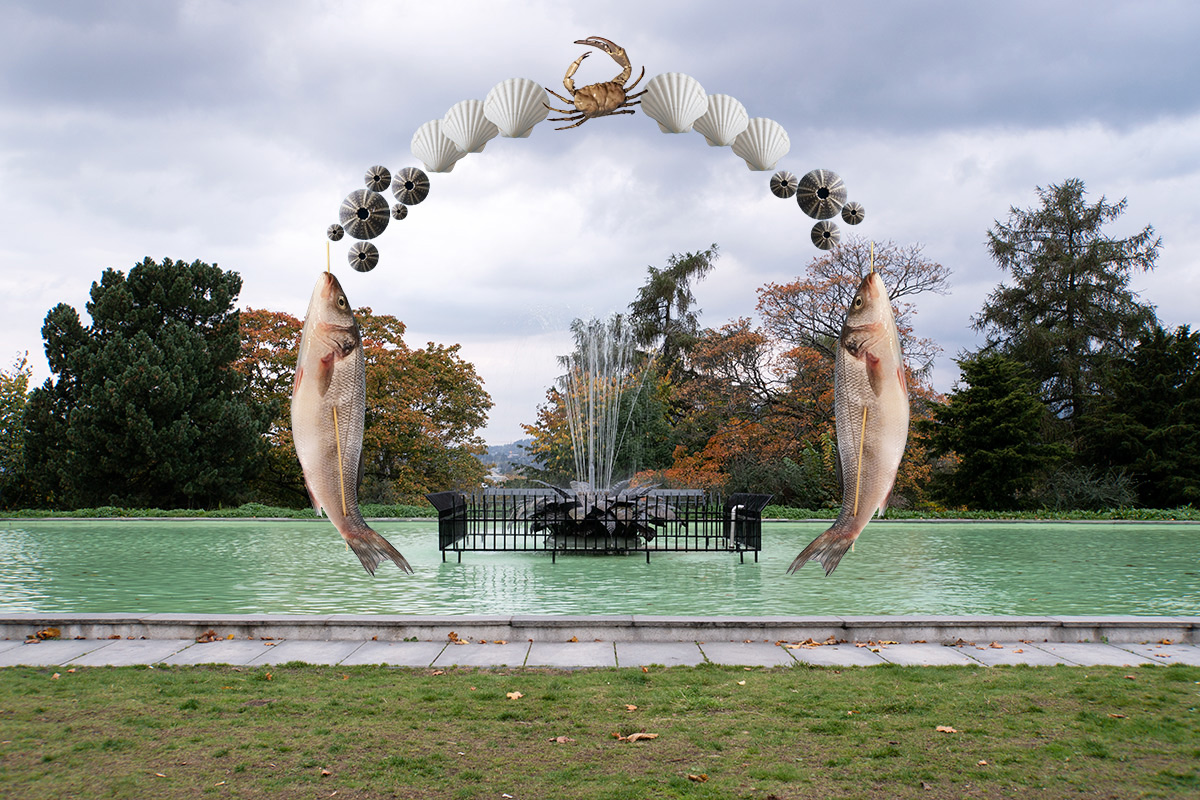The first photomontage image in the Imperfect Circles questions the food industry. Human made square pond, borders of their habitat are shaped and reflect the consequence of human decisions Moreover, Species in the contemporary epoch especially ones live in endless oceans are becoming components of the food industry. The obvious circler arrangement demonstrates human centered life cycles of species depicted in the image.  Previous